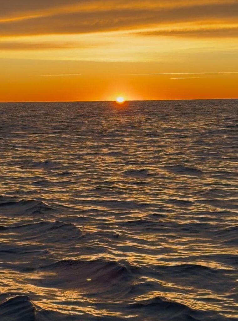 Descubre la Costa Dorada desde el mar. Navega junto al Roc de San Gaietà, disfruta de calas y paisajes y atardeceres expectaculares.